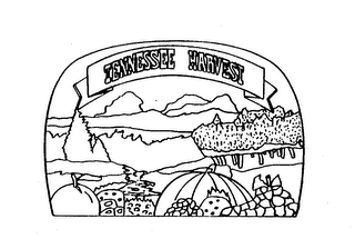TENNESSEE HARVEST logo