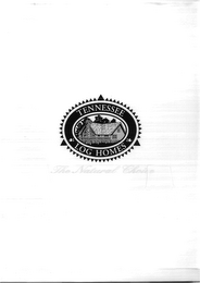 TENNESSEE LOG HOMES logo
