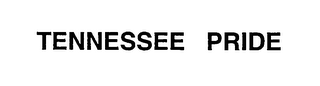 TENNESSEE PRIDE logo