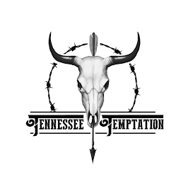 TENNESSEE TEMPTATION logo
