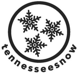 TENNESSEESNOW logo