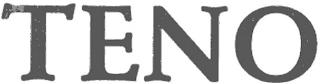 TENO logo