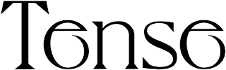 TENSE logo