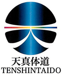 TENSHINTAIDO logo