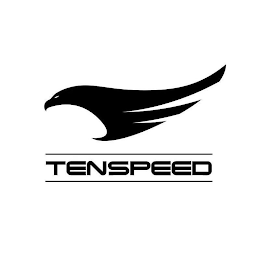 TENSPEED logo