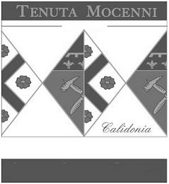 TENUTA MOCENNI CALIDONIA logo
