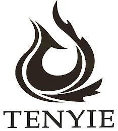 TENYIE logo