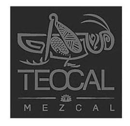 TEOCAL MEZCAL logo