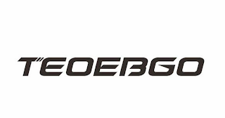 TEOEBGO logo