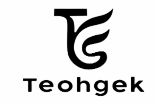 TEOHGEK logo
