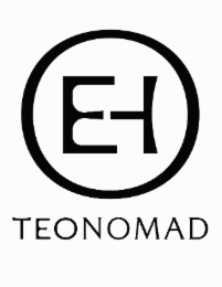 TEONOMAD logo