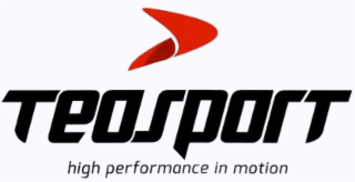 TEOSPORT HIGH PERFORMANCE IN MOTION logo