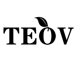 TEOV logo