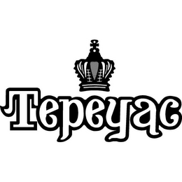 TEPEYAC logo