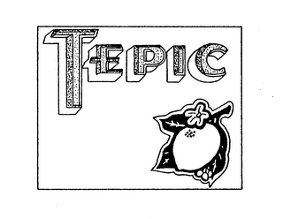 TEPIC logo
