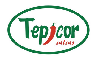 TEPICOR SALSAS logo