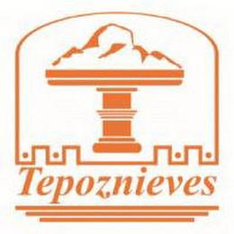 TEPOZNIEVES logo