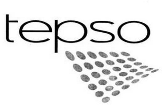 TEPSO logo