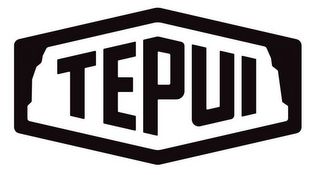 TEPUI logo