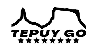 TEPUY GO logo