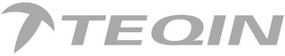 TEQIN logo