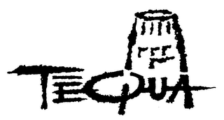 TEQUA logo