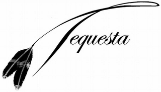 TEQUESTA logo