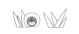 TEQUILA DON JULIO logo