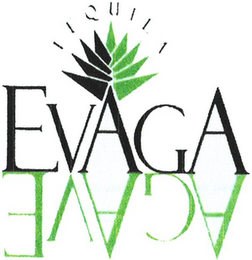 TEQUILA EVAGA logo