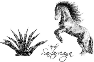TEQUILA SANTARRIAGA logo