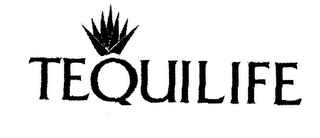 TEQUILIFE logo