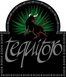 TEQUITORO logo