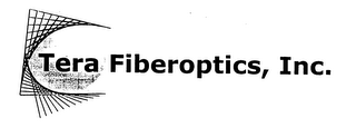 TERA. FIBEROPTICS, INC. logo