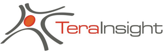 TERA INSIGHT logo