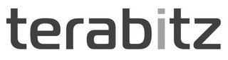 TERABITZ logo