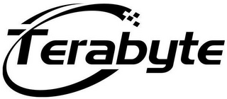 TERABYTE logo
