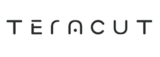TERACUT logo