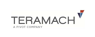 TERAMACH A PIVOT COMPANY logo