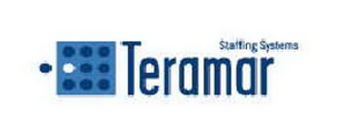TERAMAR STAFFING SYSTEMS logo