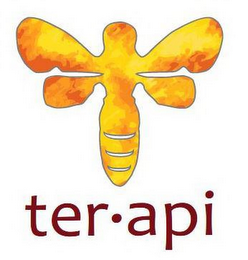 TERAPI logo