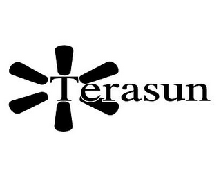 TERASUN logo