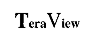TERAVIEW logo