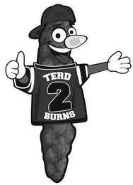 TERD 2 BURNS logo