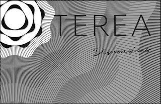 TEREA DIMENSIONS logo
