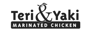 TERI & YAKI MARINATED CHICKEN