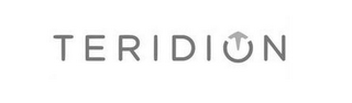 TERIDION logo