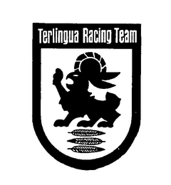 TERLINGUA RACING TEAM logo