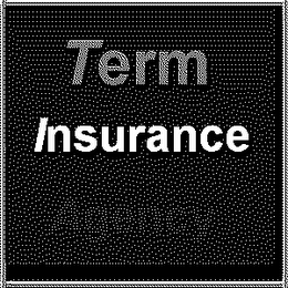 TERM INSURANCE logo