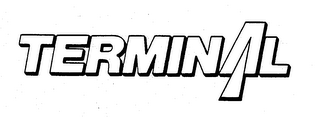 TERMINAL logo