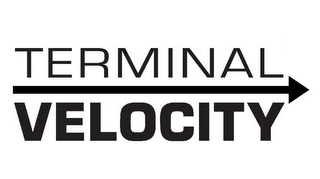 TERMINAL VELOCITY logo